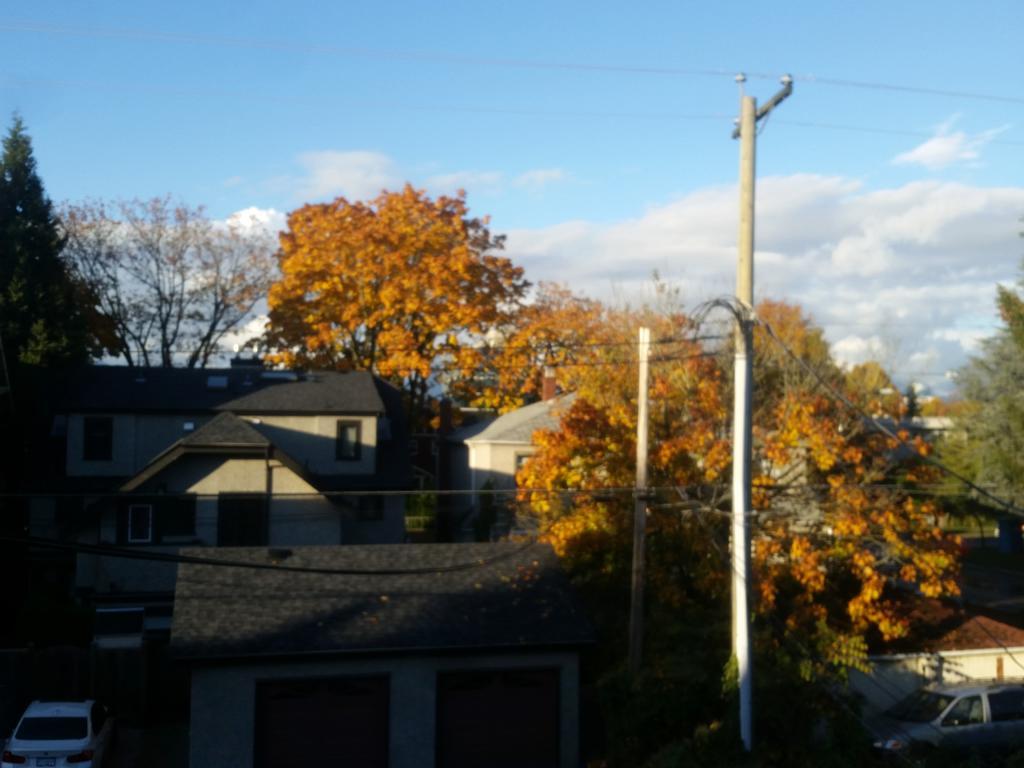 Kitsilano Heritage 호텔 밴쿠버 외부 사진